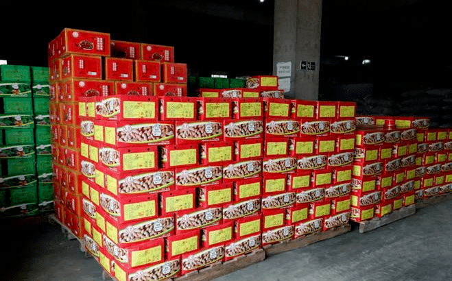 食品廠(chǎng)房建設(shè)