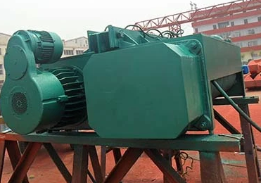 電動葫蘆行車在污水提升泵房中的應用